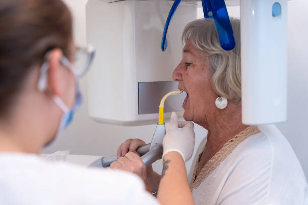 Best Emergency X-Rays and Diagnostics in East Stroudsburg, PA